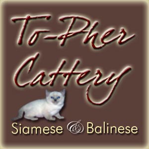 Topher Cattery